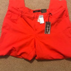 NWT Torrid All-Nighter Ponce Pant- Dusty Red